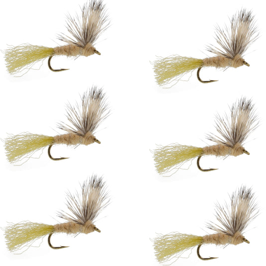 Sparkle Dun Callibaetis Mayfly - 6 Flies Hook size 16