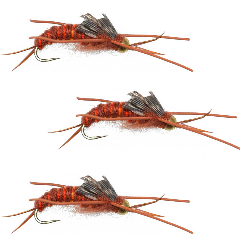 Load image into Gallery viewer, 3 Pack Barbless Gold Bead Kaufmann&#39;s Brown Stone Fly with Rubber Legs - Stonefly Wet Fly - Hook Size 10
