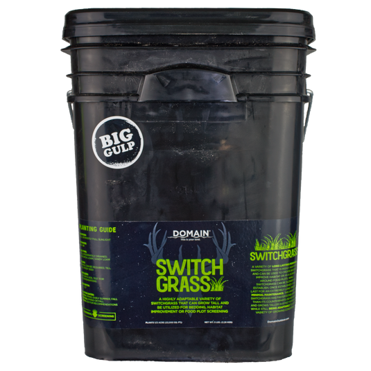 RC Big Rock Switchgrass Food Plot Seed