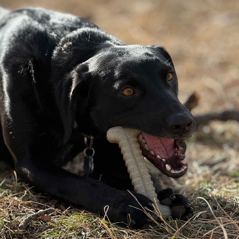 Load image into Gallery viewer, Tough Bone Nylon Chew Bone | Ultra-Durable Dog Toy for Aggressive Chewers | SodaPup

