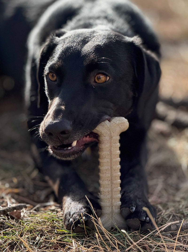 Load image into Gallery viewer, Tough Bone Nylon Chew Bone | Ultra-Durable Dog Toy for Aggressive Chewers | SodaPup
