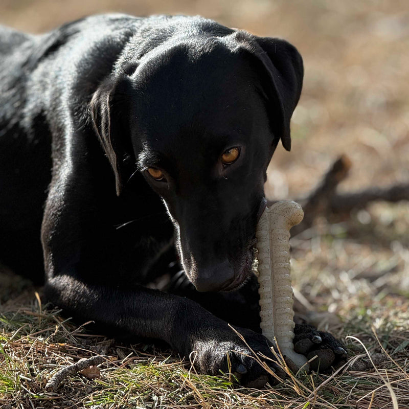 Load image into Gallery viewer, Tough Bone Nylon Chew Bone | Ultra-Durable Dog Toy for Aggressive Chewers | SodaPup
