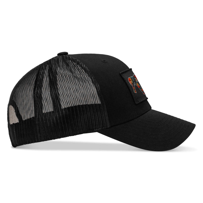 Load image into Gallery viewer, Tropical AK Patch Snapback Hat
