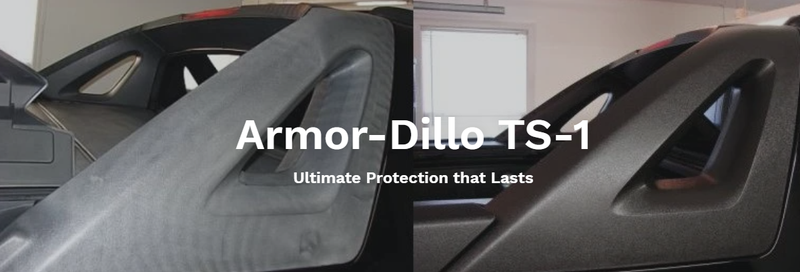 Load image into Gallery viewer, Armor-Dillo TS-1 Professional Pro Pack – 12 Bottles + 12 Restoration Pads
