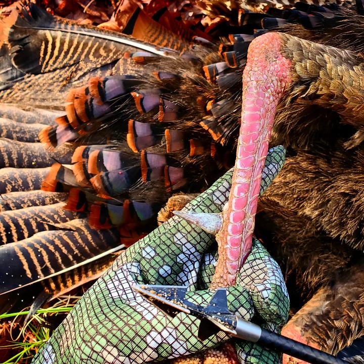 Load image into Gallery viewer, TURKEY SPURS
