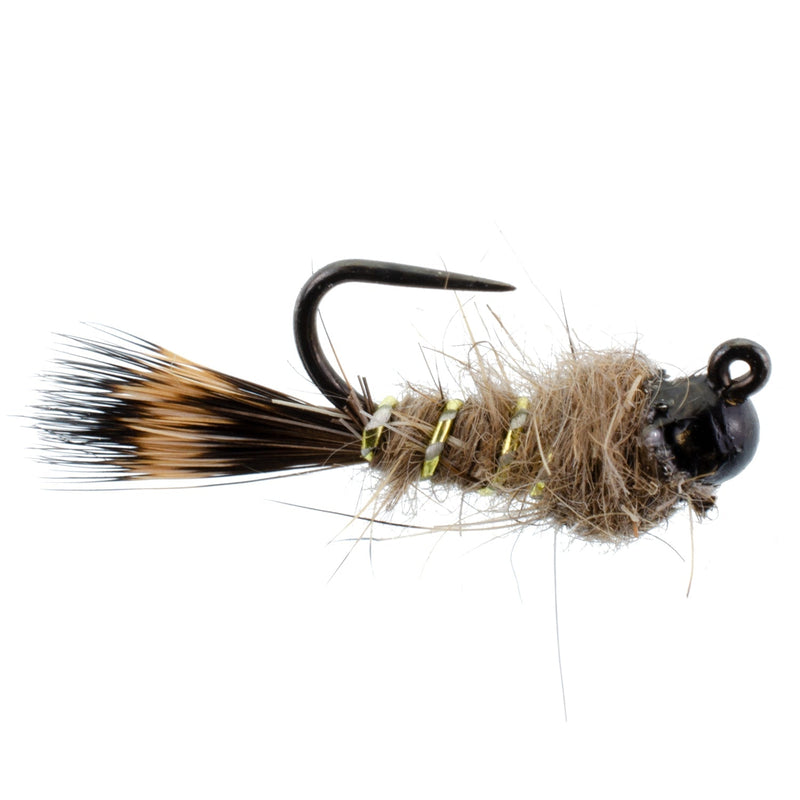 Load image into Gallery viewer, Black Tungsten Bead Tactical Hares Ear Czech Nymph Euro Nymphing Fly - 1  Dozen Flies Size 12
