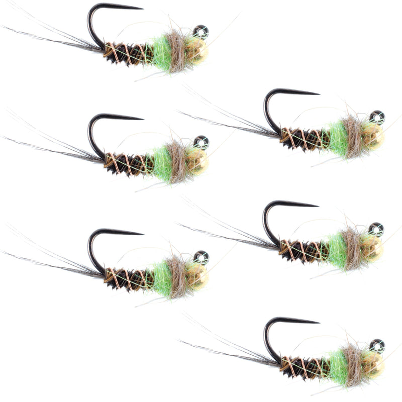 Load image into Gallery viewer, Tungsten Soft Hackle Pheasant Tail Tactical Euro Jig - 12 Flies Size 14
