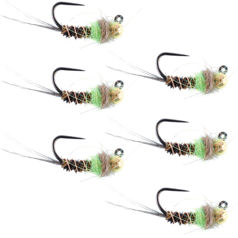 Load image into Gallery viewer, Tungsten Soft Hackle Pheasant Tail Tactical Euro Jig - 12 Flies Size 12
