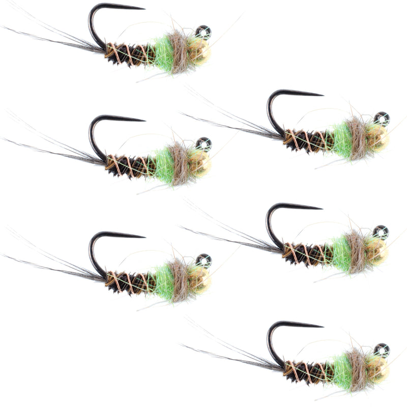 Load image into Gallery viewer, Tungsten Hot Spot Pheasant Tail Tactical Nymph Euro Jig - 6 Flies Size 16
