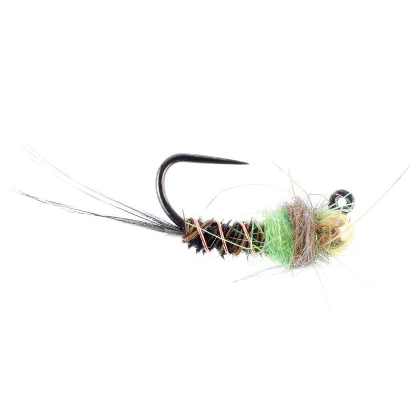 Load image into Gallery viewer, Tungsten Soft Hackle Pheasant Tail Tactical Euro Jig - 12 Flies Size 12
