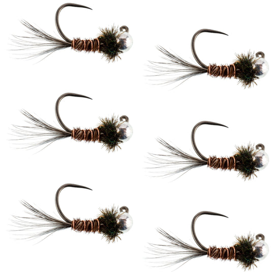 Tungsten Pheasant Tail Tactical Nymph Euro Jig - 6 Flies Size 14