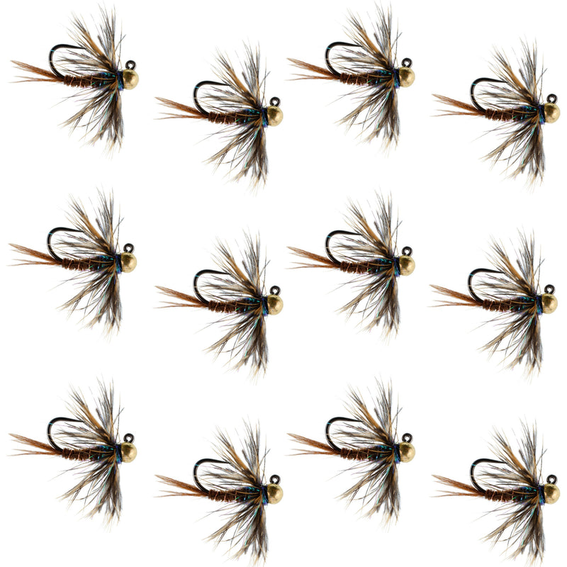 Load image into Gallery viewer, Tungsten Soft Hackle Pheasant Tail Tactical Euro Jig - 12 Flies Size 14
