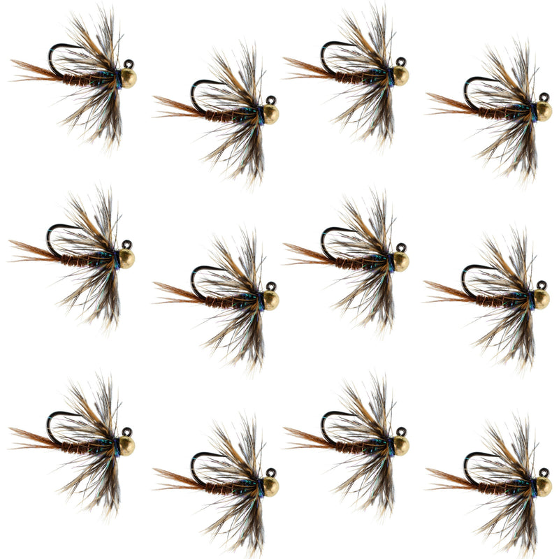 Load image into Gallery viewer, Tungsten Soft Hackle Pheasant Tail Tactical Euro Jig - 12 Flies Size 12
