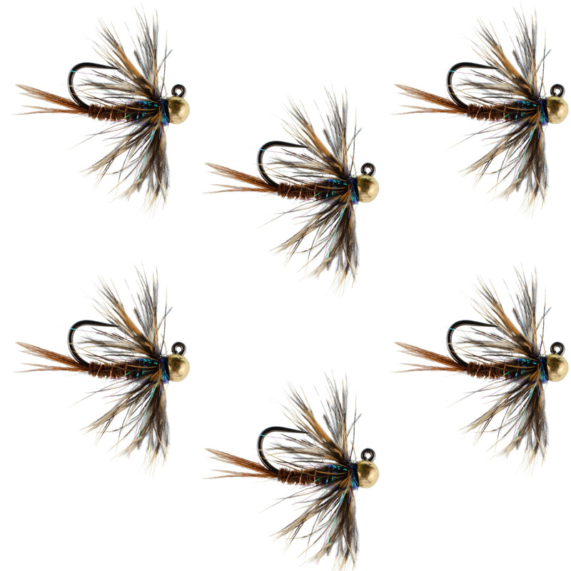 Load image into Gallery viewer, Tungsten Soft Hackle Pheasant Tail Tactical Nymph Euro Jig - 6 Flies Size 12
