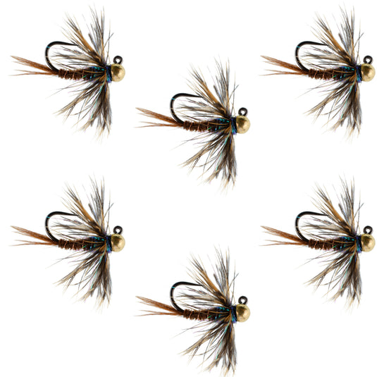 Tungsten Soft Hackle Pheasant Tail Tactical Nymph Euro Jig - 6 Flies Size 14