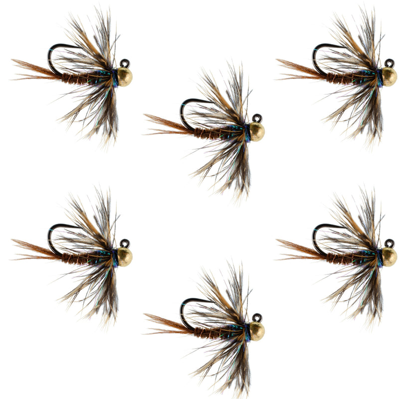 Load image into Gallery viewer, Tungsten Soft Hackle Pheasant Tail Tactical Nymph Euro Jig - 6 Flies Size 16
