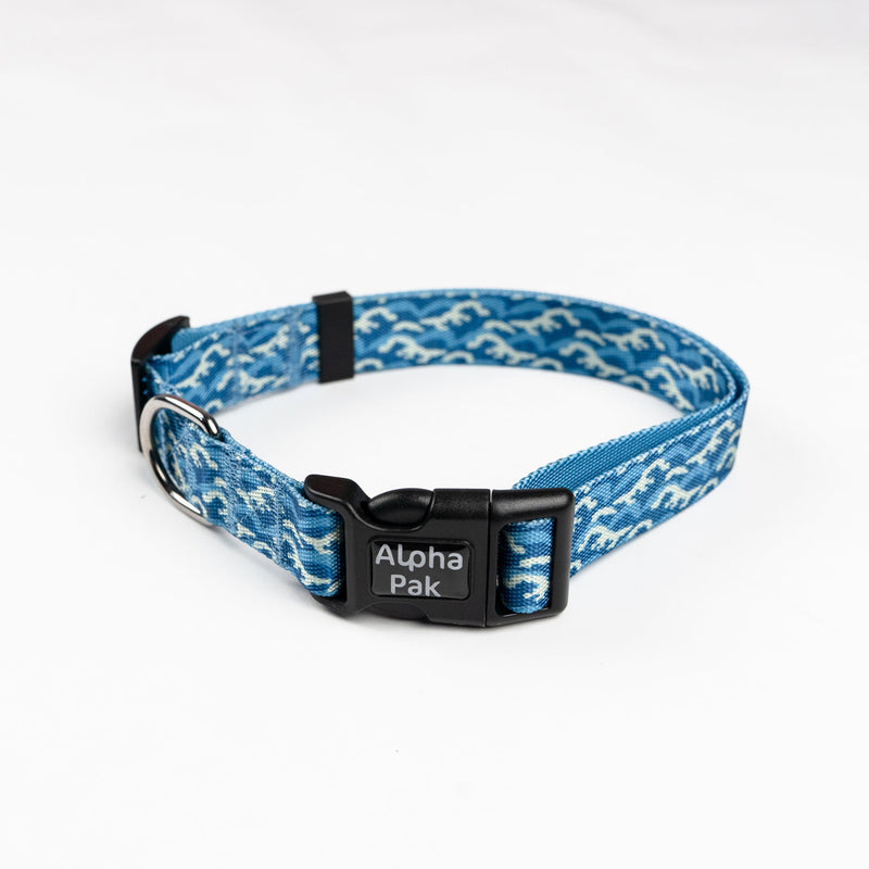 Load image into Gallery viewer, Everyday Adventure Dog Collar
