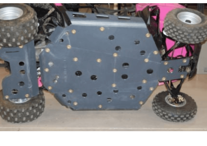 Load image into Gallery viewer, Trail Armor Full Skids with Integrated Side Nerfs and Rear Swing Arm Skid for 2009-21 Polaris RZR 170
