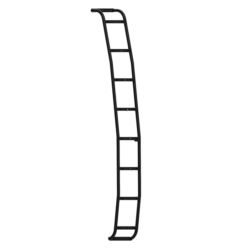 Load image into Gallery viewer, Promaster Stealth+ Side Ladder
