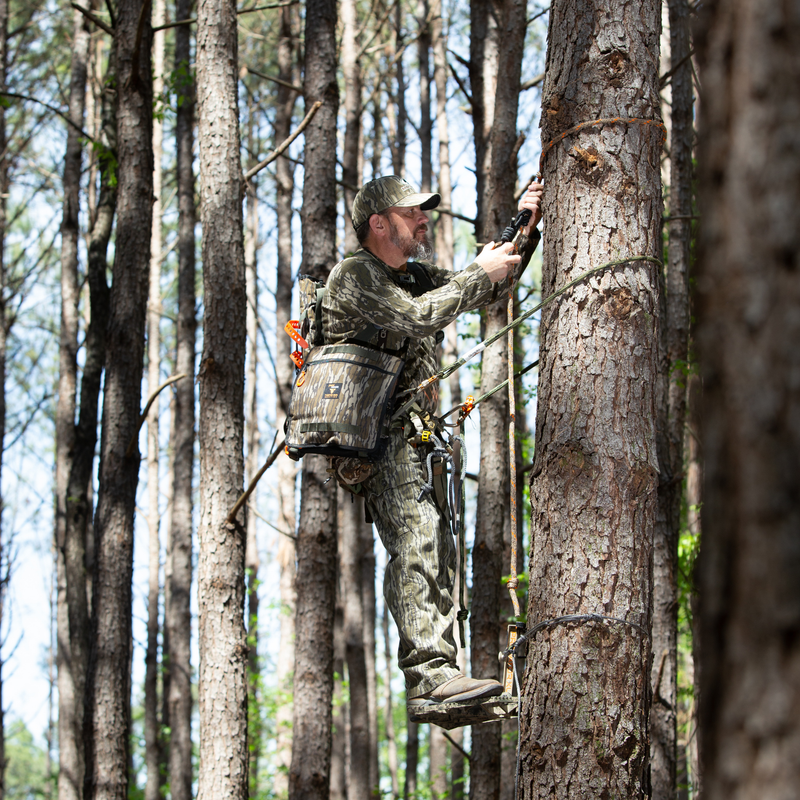 Load image into Gallery viewer, BOTTOMLAND: Tree Hugger (Regular or Mini Size)
