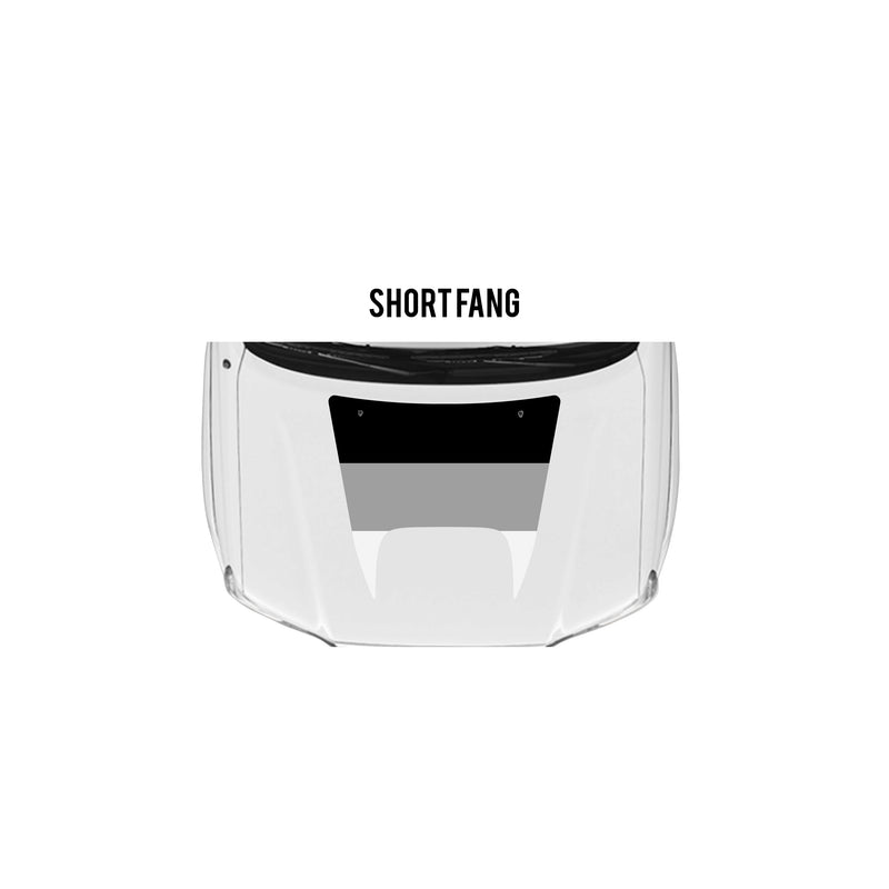 Load image into Gallery viewer, 2005-15 Tacoma Checkered Stripe Kit
