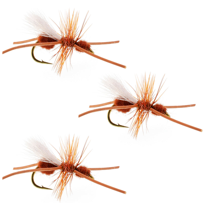 Load image into Gallery viewer, 3 Pack Turcks Power Flying Ant Cinnamon Terrestrial Trout Dry Fly - Hook Size 12
