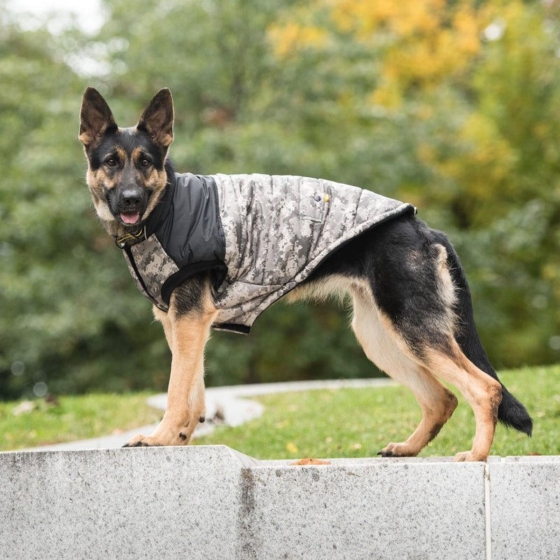 Load image into Gallery viewer, US Army Dog Jacket - Camo
