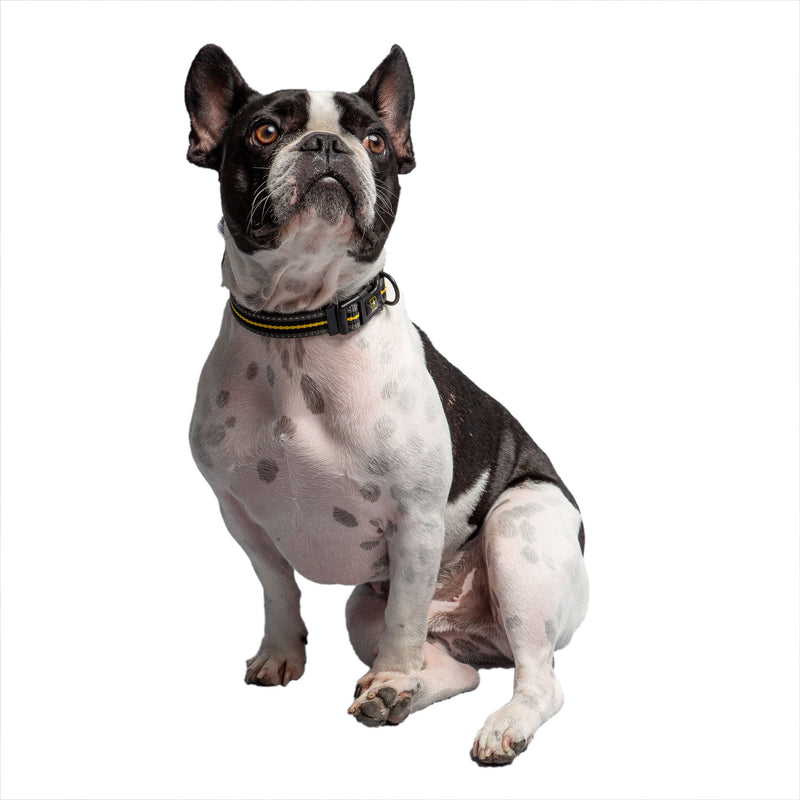 Load image into Gallery viewer, US Army Dog Collar - Dark Camo
