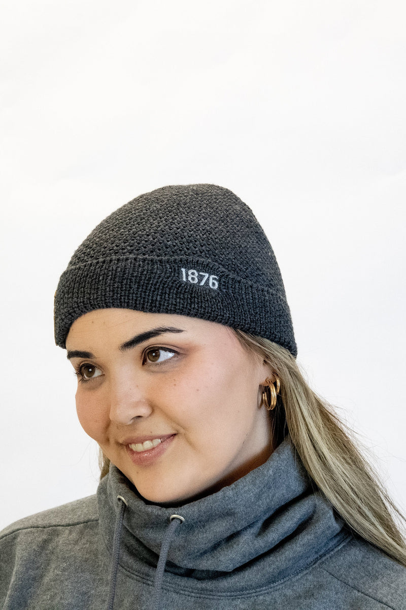 Load image into Gallery viewer, 1876 | The Georgetown Beanie
