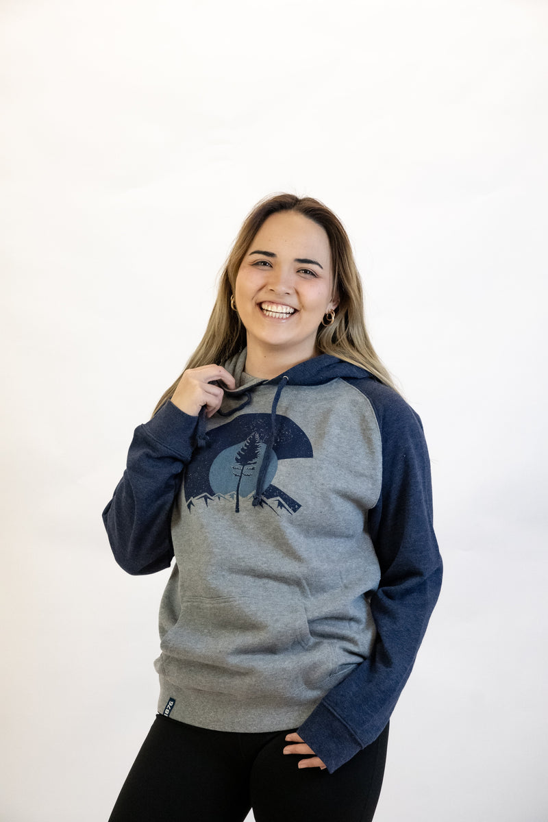 Load image into Gallery viewer, 1876 | The Snowstorm Hoodie
