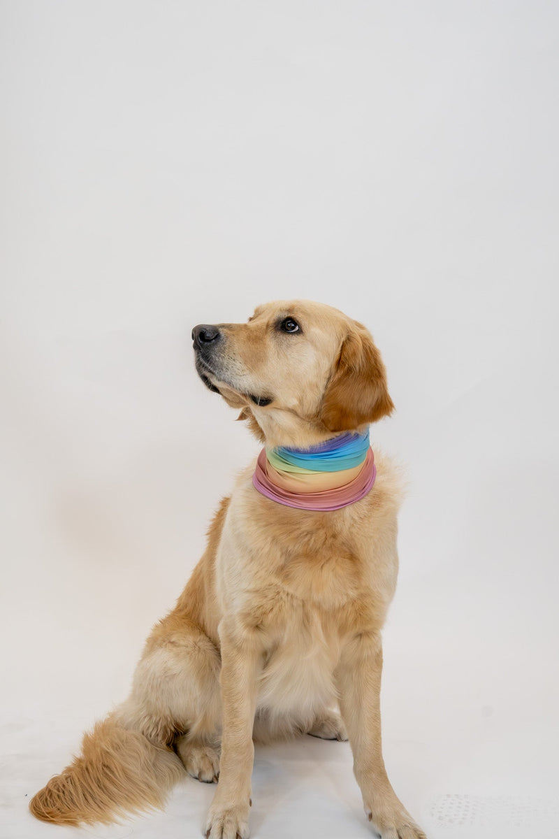 Load image into Gallery viewer, Rainbow Ombre Neck Gaiter
