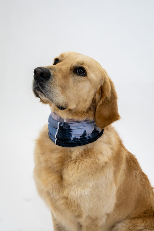 Mountain Twilight Neck Gaiter