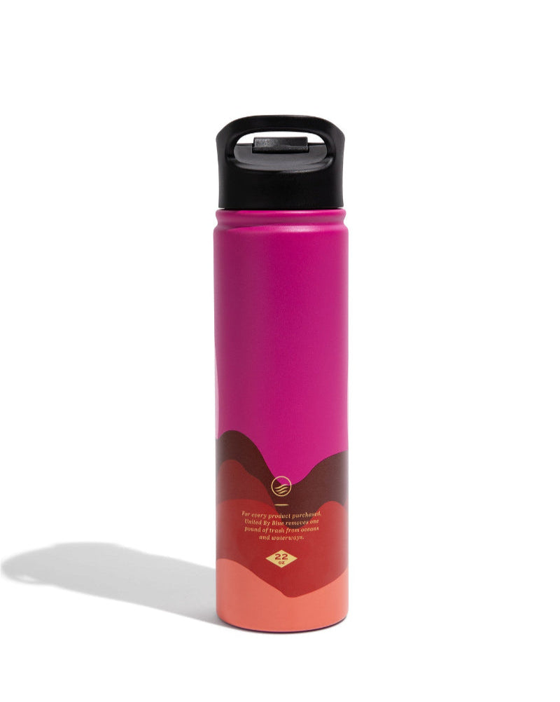 Load image into Gallery viewer, Bottle - 22 Oz. Insulated Stainless Steel
