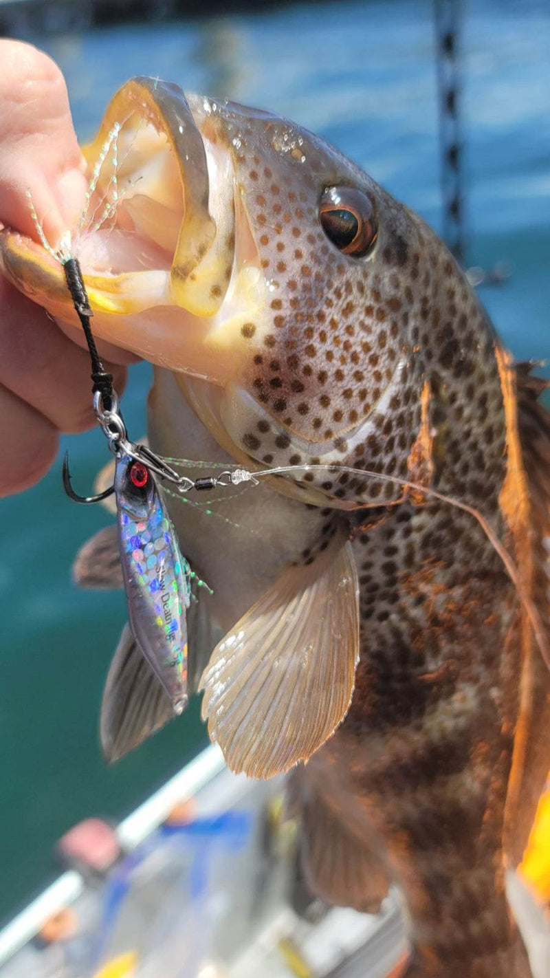 Load image into Gallery viewer, Mercenary Micro Slow Pitch Jig – 4-Pack – 10g &amp; 15g
