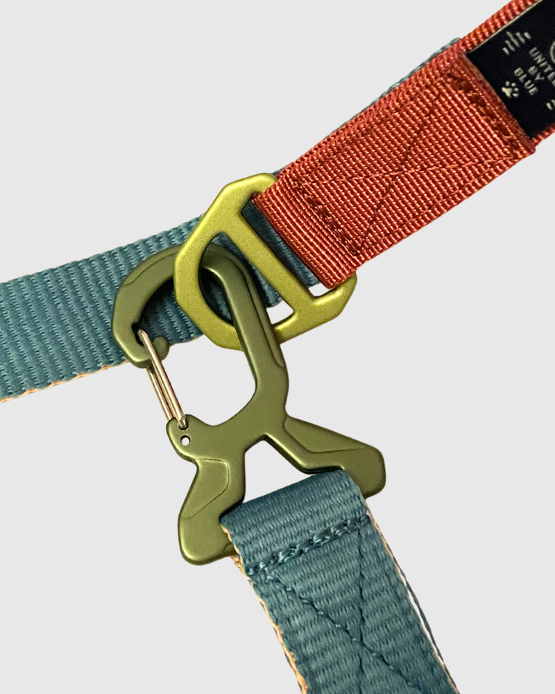 Load image into Gallery viewer, (R)evolution™ Recycled Woven Dog Leash
