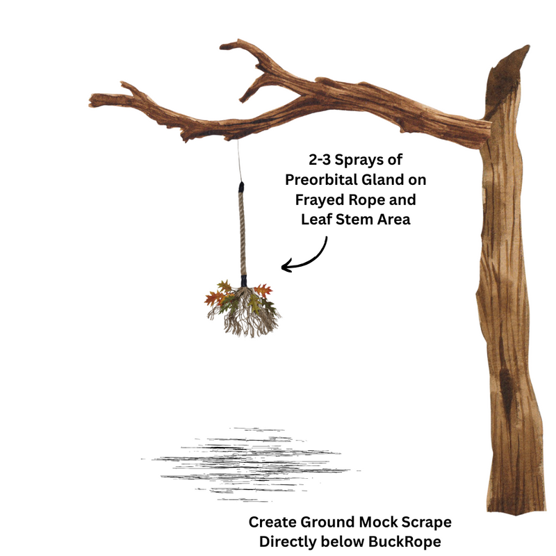 Load image into Gallery viewer, BUCKROPE
