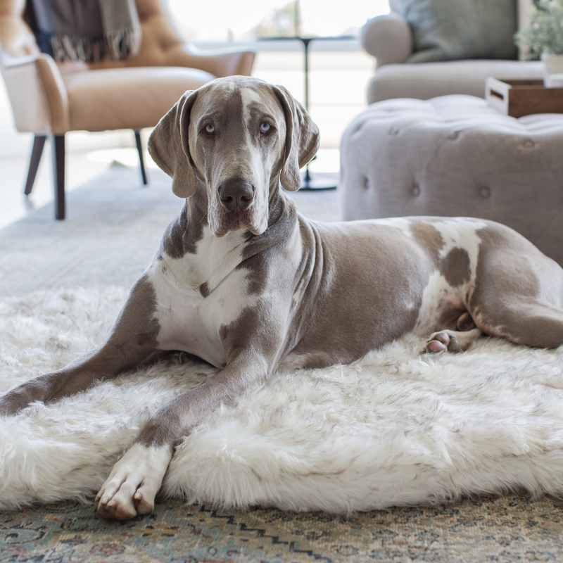 Load image into Gallery viewer, PupRug by Paw.com® Faux Fur Orthopedic Dog Bed - Curve White with Brown Accents
