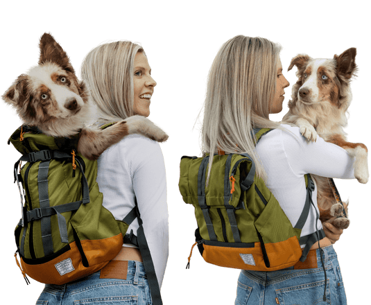 Urban 3 | Dual Use Dog Carrier & Traditional Backpack