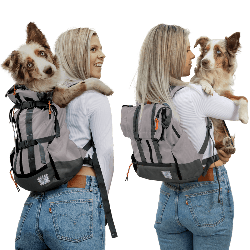 Load image into Gallery viewer, Urban 3 | Dual Use Dog Carrier &amp; Traditional Backpack
