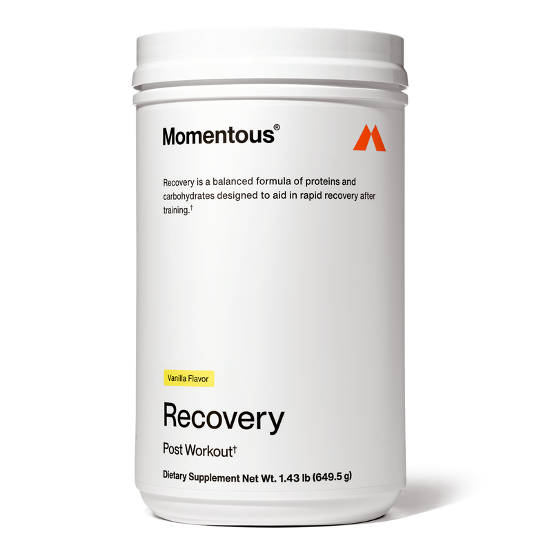 Load image into Gallery viewer, Recovery
