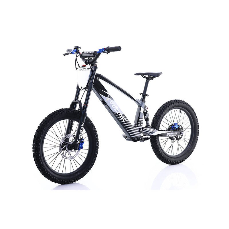 Load image into Gallery viewer, Voltaic Youth Electric Dirt Bike 20&#39;&#39; Flying Fox
