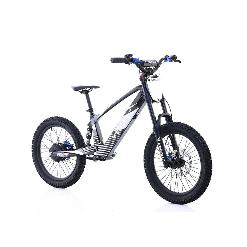Load image into Gallery viewer, Voltaic Youth Electric Dirt Bike 20&#39;&#39; Flying Fox
