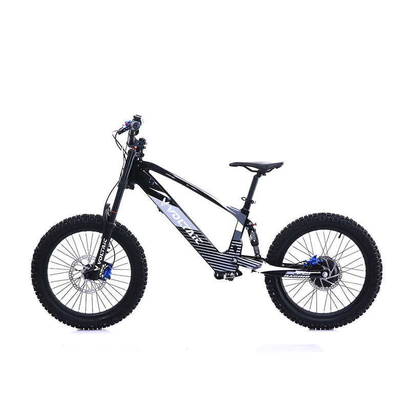 Load image into Gallery viewer, Voltaic Youth Electric Dirt Bike 20&#39;&#39; Flying Fox

