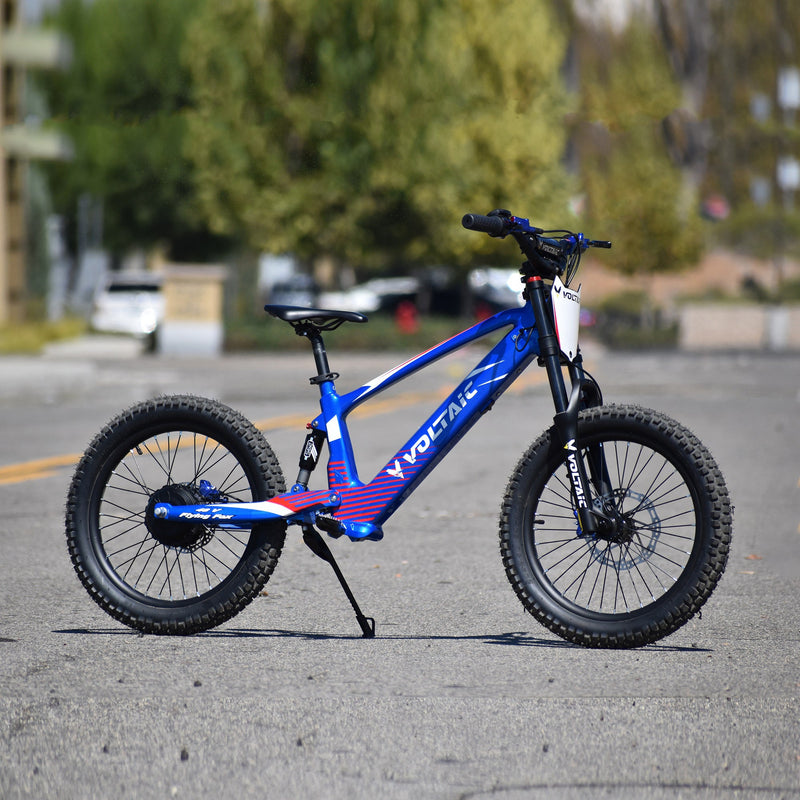 Load image into Gallery viewer, Voltaic Youth Electric Dirt Bike 20&#39;&#39; Flying Fox 48V
