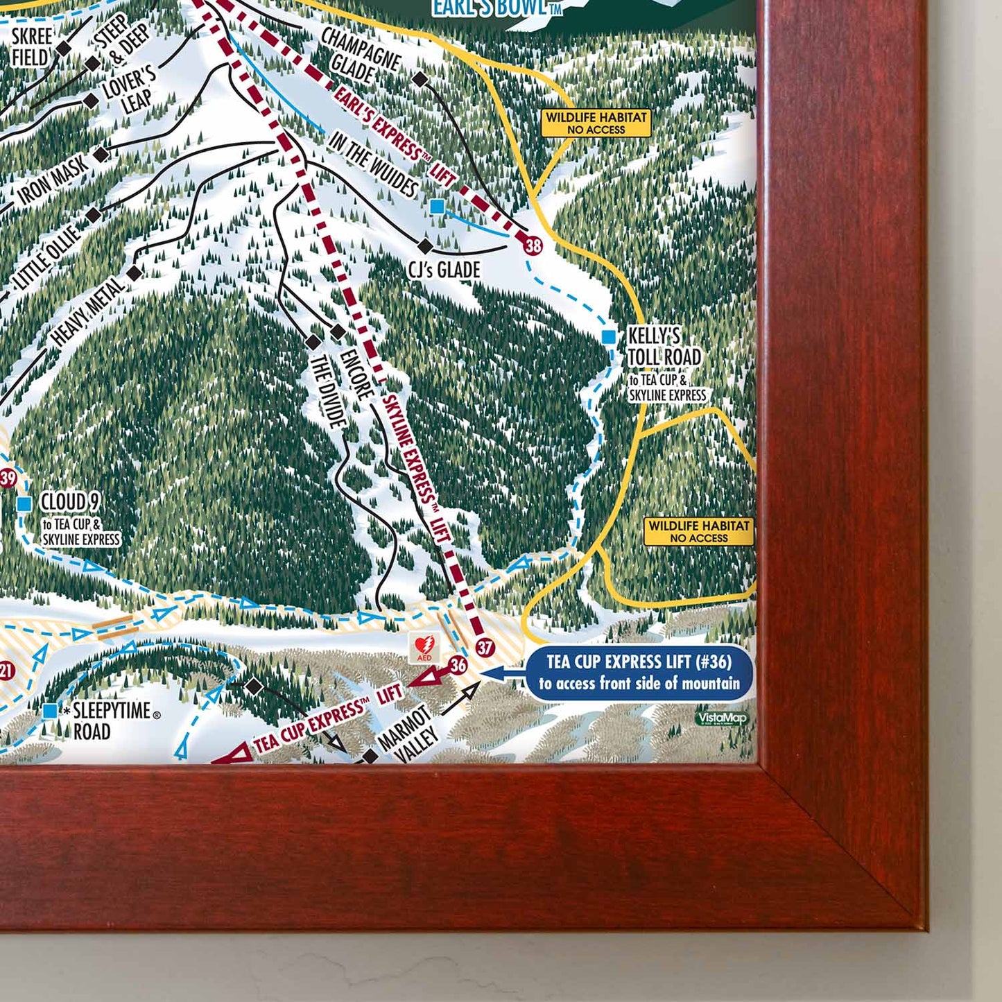 Vail Ski Resort Trail Map Poster