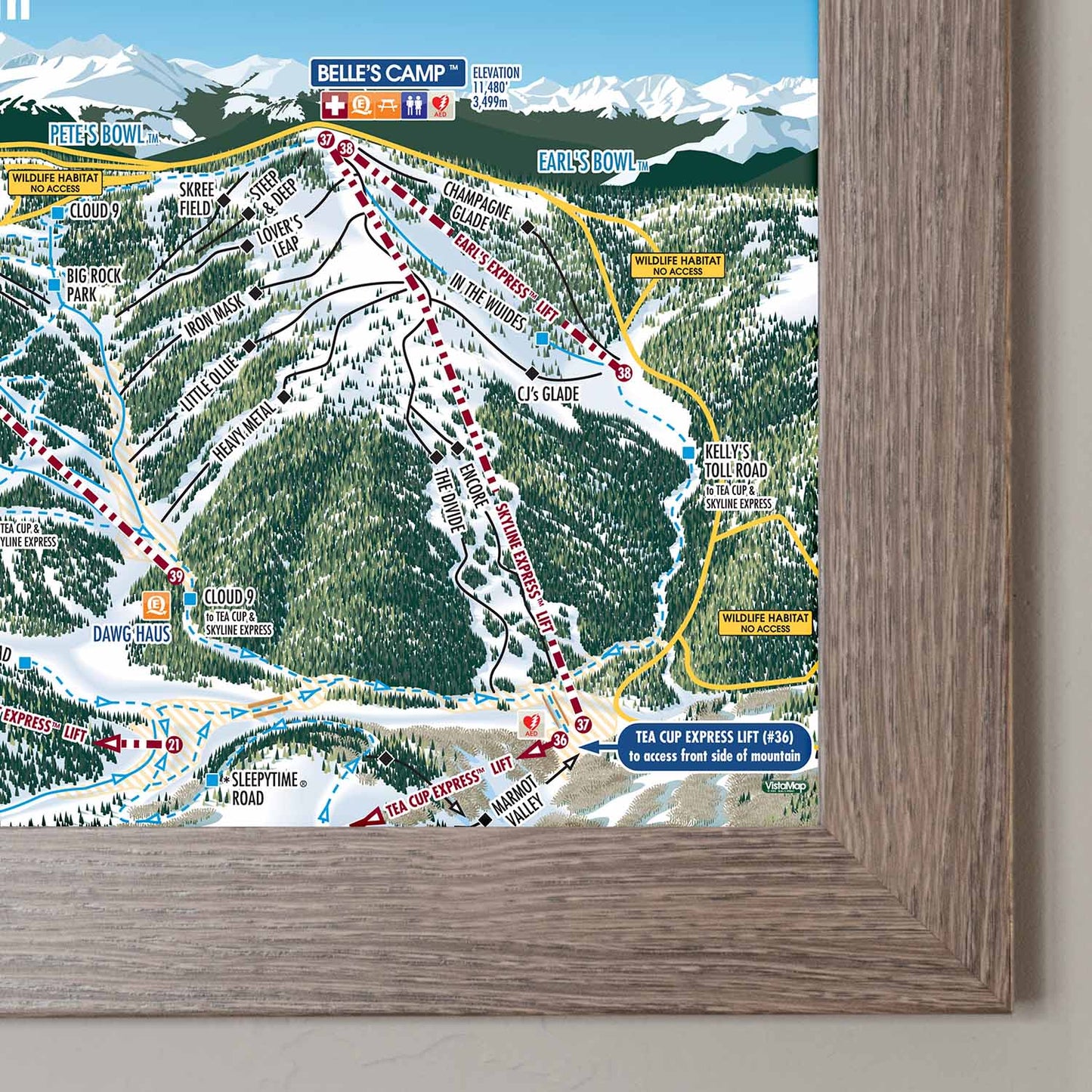 Vail Ski Resort Trail Map Poster