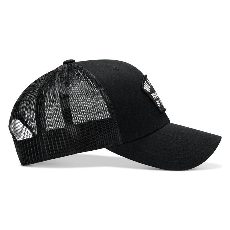 Load image into Gallery viewer, We Are Not Your Kind Of People Patch Snapback Hat
