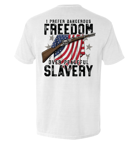 Dangerous Freedom Over Peaceful Slavery