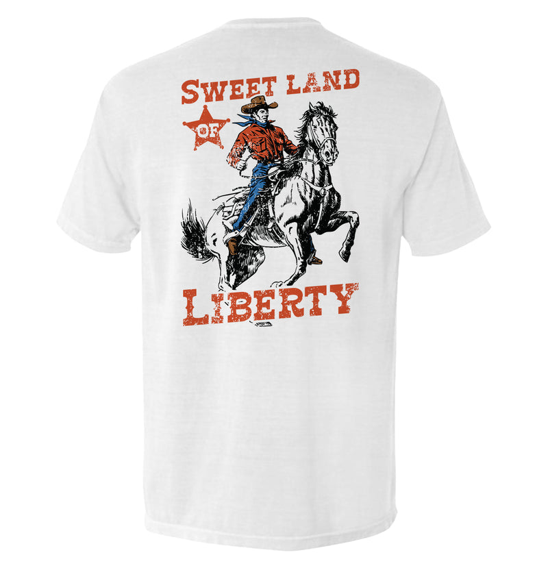 Load image into Gallery viewer, Sweet Land Of Liberty
