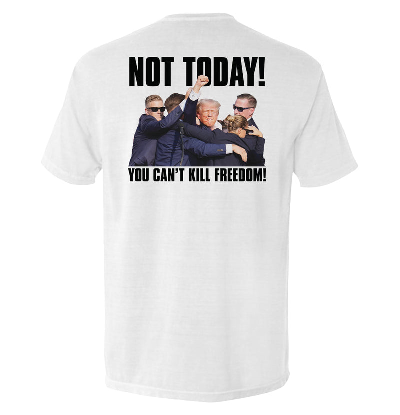 Load image into Gallery viewer, You Can&#39;t Kill Freedom
